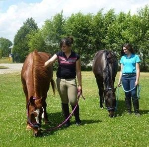 Meet your Posher, Danielle